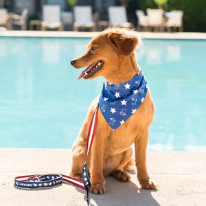 
            
                Load image into Gallery viewer, Pup&amp;#39;s Liberty Leash
            
        