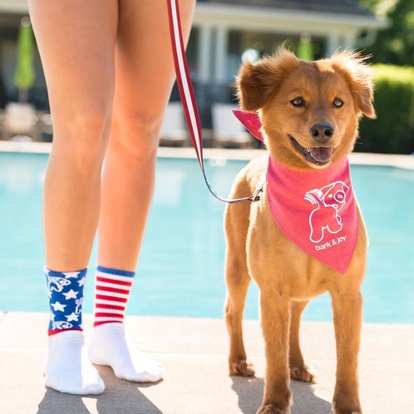 Star Spangled Socks