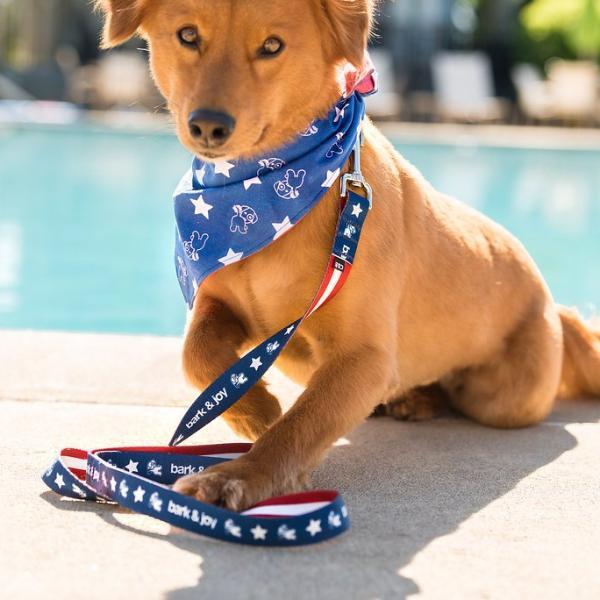 
            
                Load image into Gallery viewer, Pup&amp;#39;s Liberty Leash
            
        