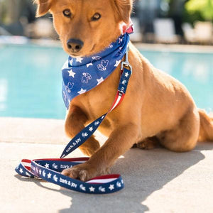 Pup's Liberty Leash