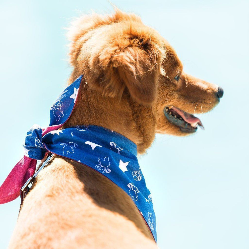 Patriotic Pup Bandana